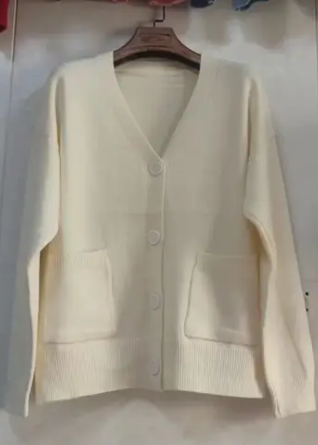 Women's V-Neck Solid Color Blouse