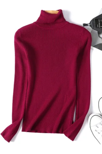 Slim Fit Turtleneck Sweater – Solid Knit Pullover
