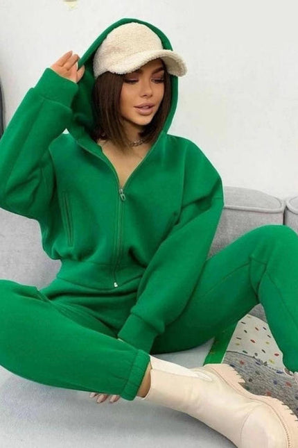 PASUXI Hot Sale Womens Long Sleeve Sports Sets Casual Zip Hoodies and Running Pants Two Piece Sets