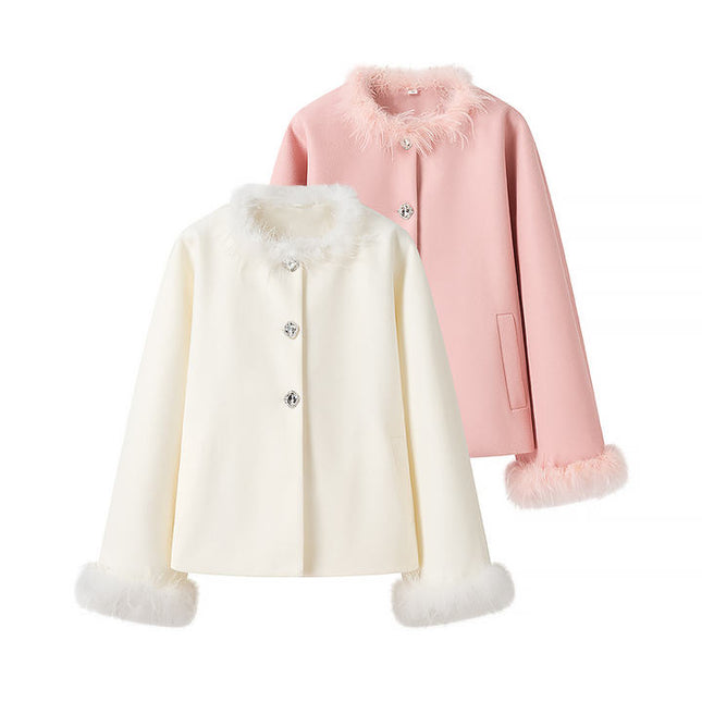 2 Colorway Crew Neck Long Sleeve Single Breasted Solid Color Feather Casual Fashion Winter Jacket for Women
