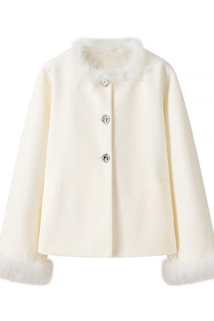 2 Colorway Crew Neck Long Sleeve Single Breasted Solid Color Feather Casual Fashion Winter Jacket for Women