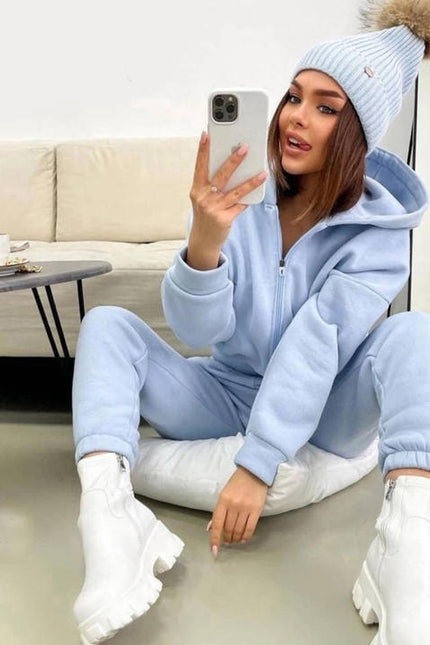 PASUXI Hot Sale Womens Long Sleeve Sports Sets Casual Zip Hoodies and Running Pants Two Piece Sets