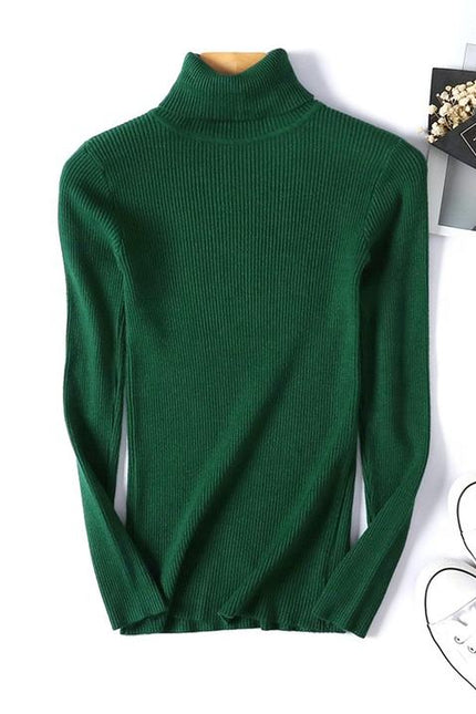 Fall Winter New Female Slim Fit Pullover Solid Color Knitted Shirt Women Sweaters Turtleneck