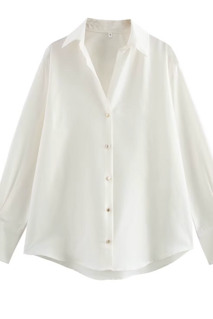Long Sleeve Casual Basic Style Shirt