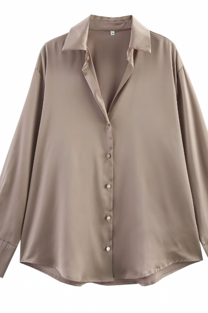 Long Sleeve Casual Basic Style Shirt
